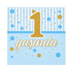 Toptan 1 Yaşında Mavi Peçete (16 Adet)