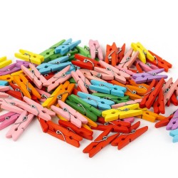 Toptan Mini Ahşap Mandal 2,5 cm – Renkli 100 Adet