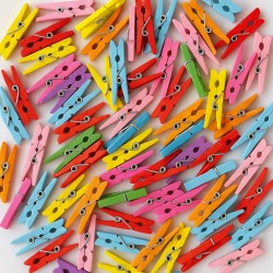 Toptan Mini Ahşap Mandal 2,5 cm – Renkli 100 Adet