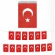 Toptan İpli Ay Yıldızlı Bayrak 40 lı Büyük Boy Toptan İpli Ay Yıldızlı Bayrak 40 lı Büyük Boy