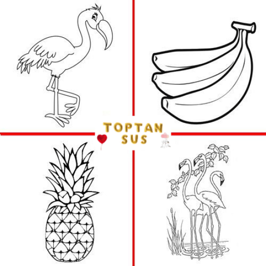 Toptan Flamingo Boyama Kitabı Stickerlı (16 Sayfa)