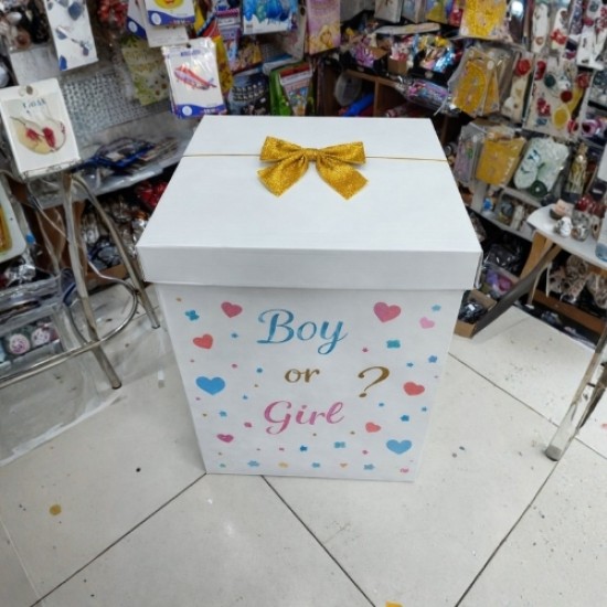 Cinsiyet Partisi Kutusu 60x55x55 cm