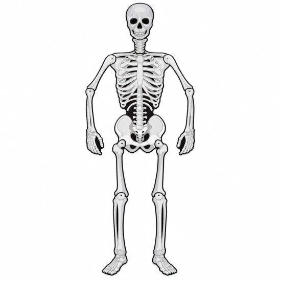 Toptan Halloween Karton İskelet Kapı Süsü, 150 cm Toptan Halloween Karton İskelet Kapı Süsü, 150 cm
