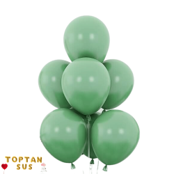Toptan Pastel Küf Yeşili Renkli Balon 100 Adet