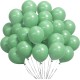 Toptan Deniz Yeşili Renkli Pastel Balon 100 Adet Toptan Deniz Yeşili Renkli Pastel Balon 100 Adet